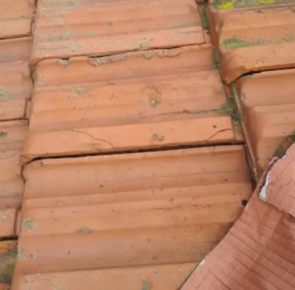 TADİLAT USTASI BAKIRKÖY