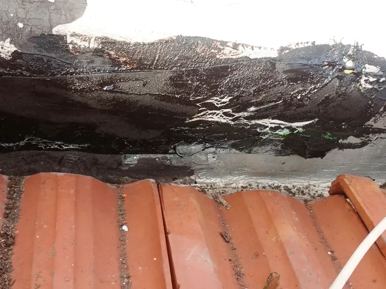 TADİLAT USTASI BAKIRKÖY